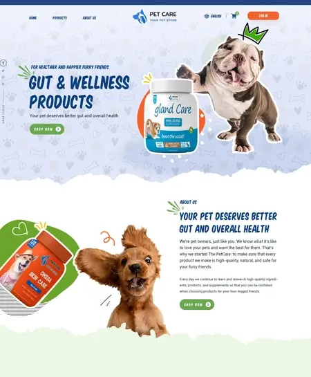 Web Desing Portfolio