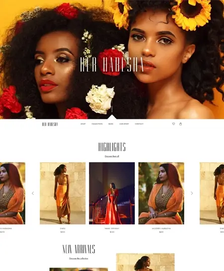 Web Desing Portfolio