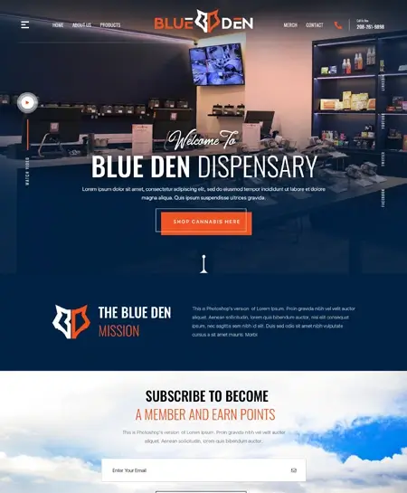 Web Desing Portfolio